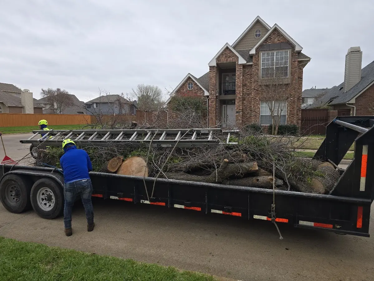 Expert Tree Fertilization with proper safety equipment in Buffalo Prairie
